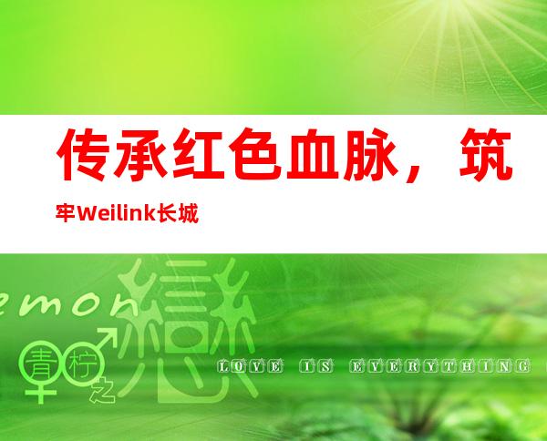 传承红色血脉，筑牢Weilink长城
